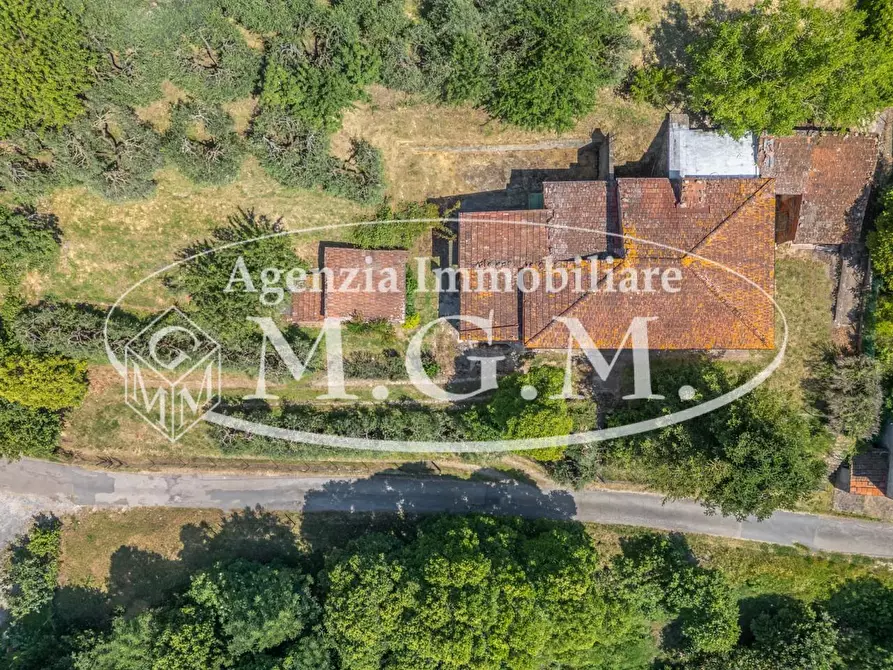 Immagine 12 di Casa indipendente in vendita  a Buti