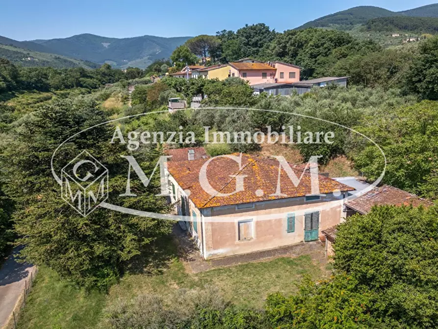Immagine 5 di Casa indipendente in vendita  a Buti