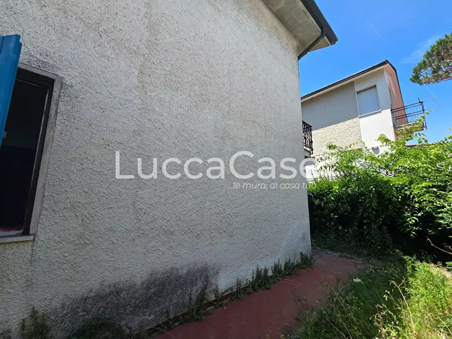 Immagine 7 di Appartamento in vendita  a Camaiore