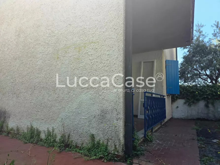 Immagine 5 di Appartamento in vendita  a Camaiore