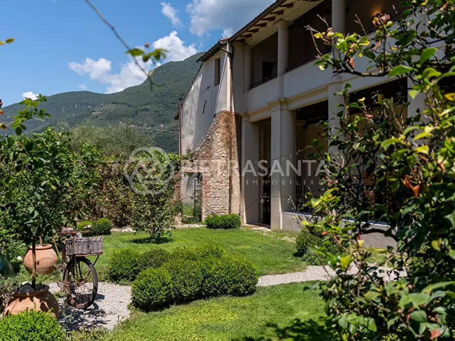 Immagine 33 di Casa colonica in vendita  a Camaiore
