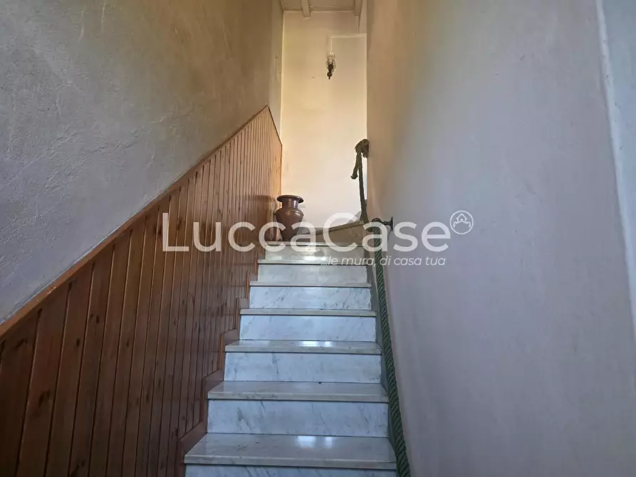 Immagine 4 di Casa indipendente in vendita  a Camaiore