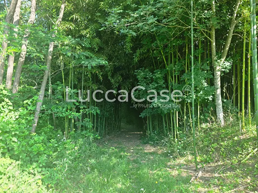 Immagine 15 di Casa indipendente in vendita  a Camaiore
