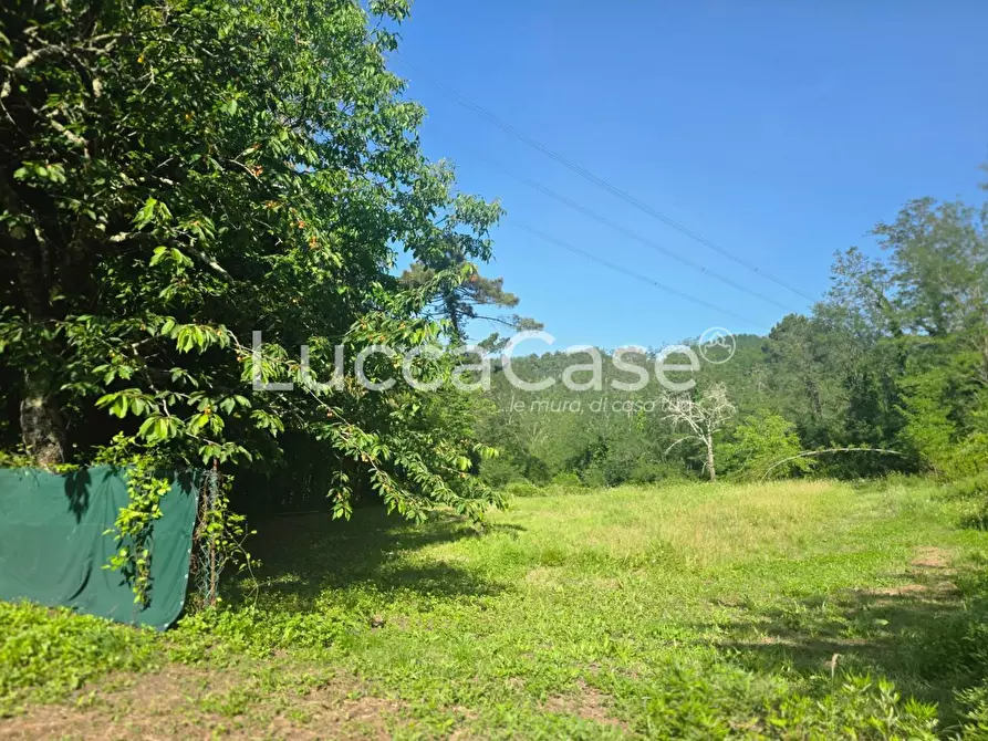 Immagine 18 di Casa indipendente in vendita  a Camaiore