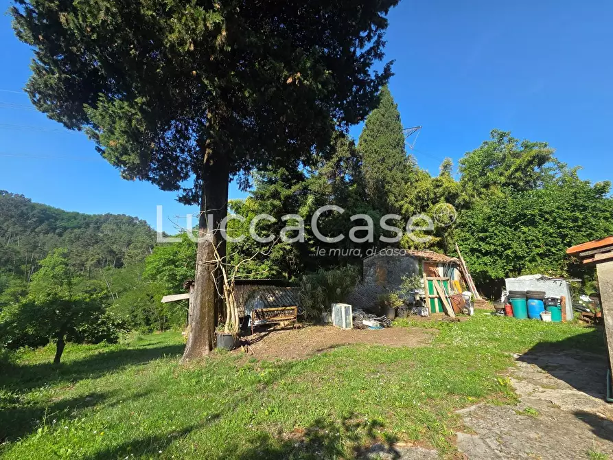 Immagine 13 di Casa indipendente in vendita  a Camaiore