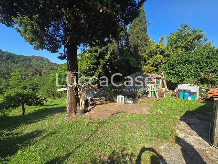 Immagine 12 di Casa indipendente in vendita  a Camaiore