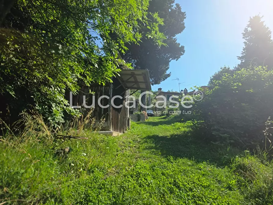 Immagine 16 di Casa indipendente in vendita  a Camaiore