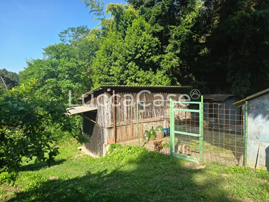 Immagine 14 di Casa indipendente in vendita  a Camaiore