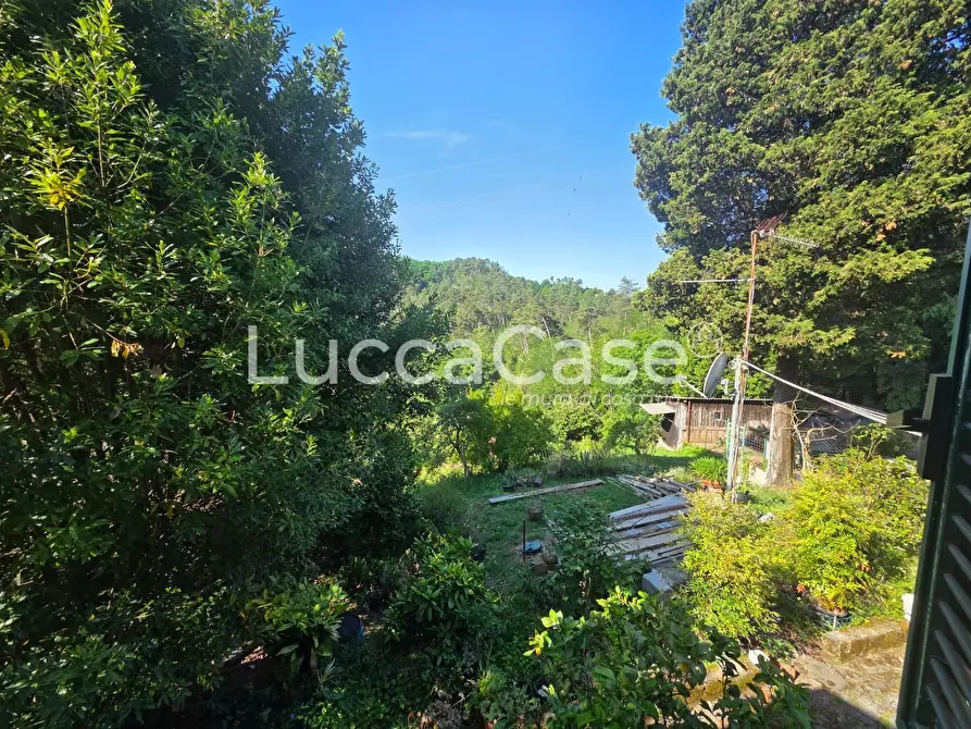Immagine 8 di Casa indipendente in vendita  a Camaiore