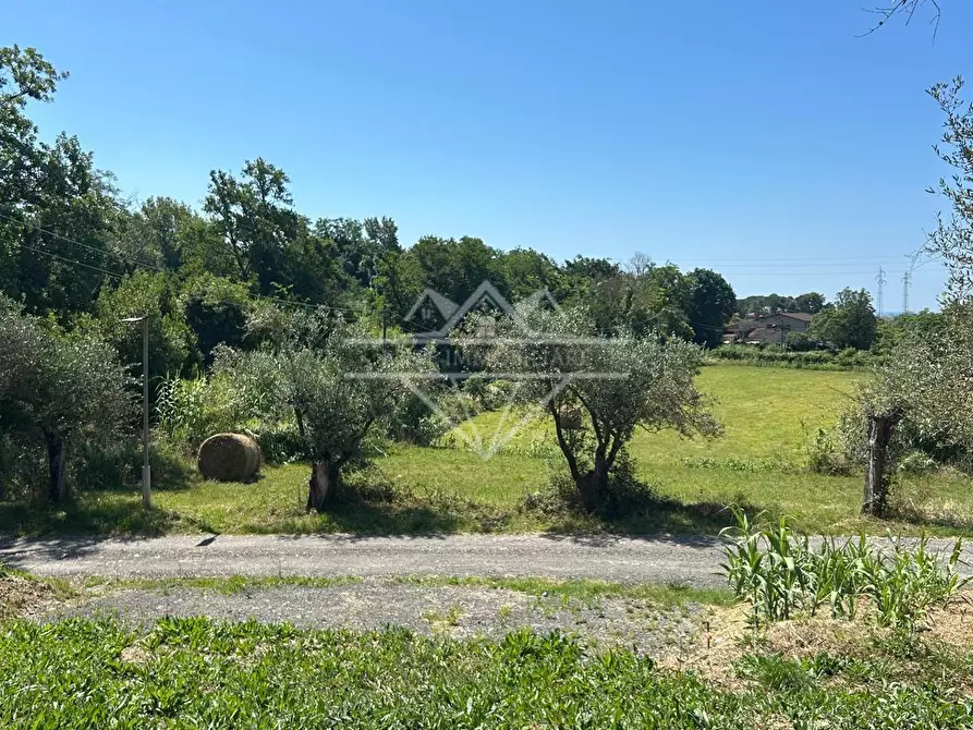 Immagine 4 di Villa in vendita  a Fosdinovo