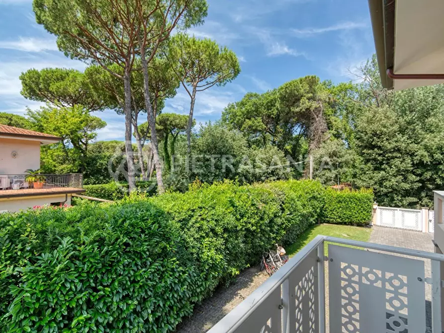 Immagine 60 di Villa in affitto  a Forte Dei Marmi