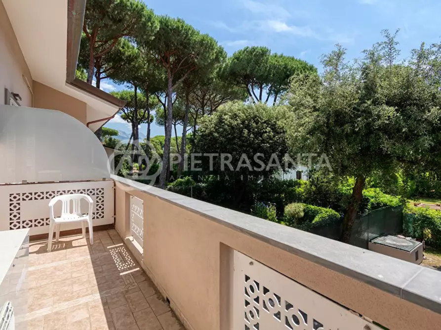 Immagine 69 di Villa in affitto  a Forte Dei Marmi