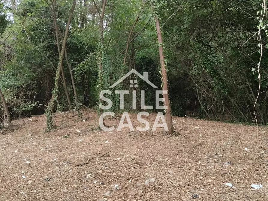 Immagine 61 di Casa colonica in vendita  a Capannori