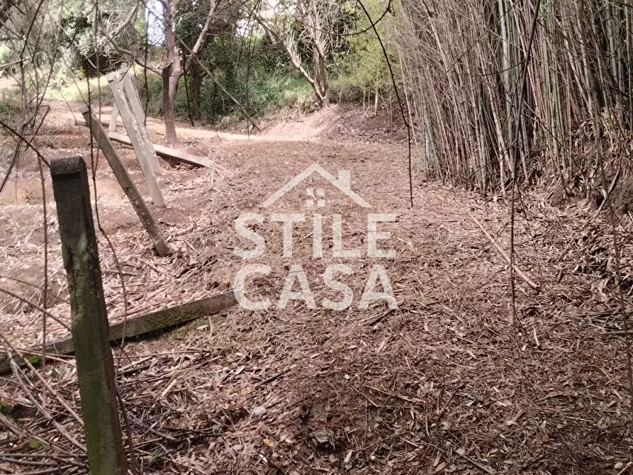 Immagine 52 di Casa colonica in vendita  a Capannori