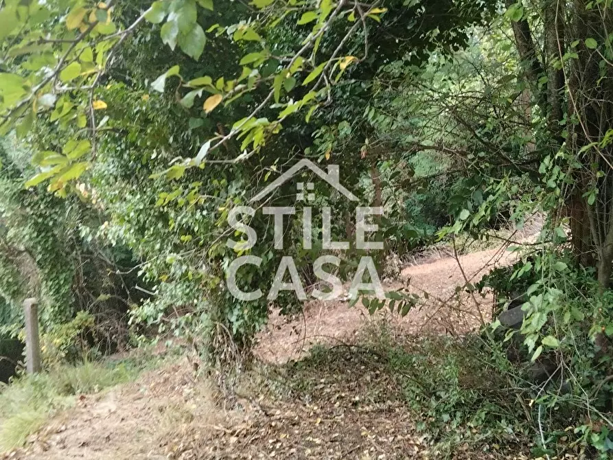Immagine 56 di Casa colonica in vendita  a Capannori