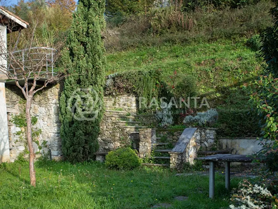 Immagine 6 di Villa in vendita  a Pietrasanta
