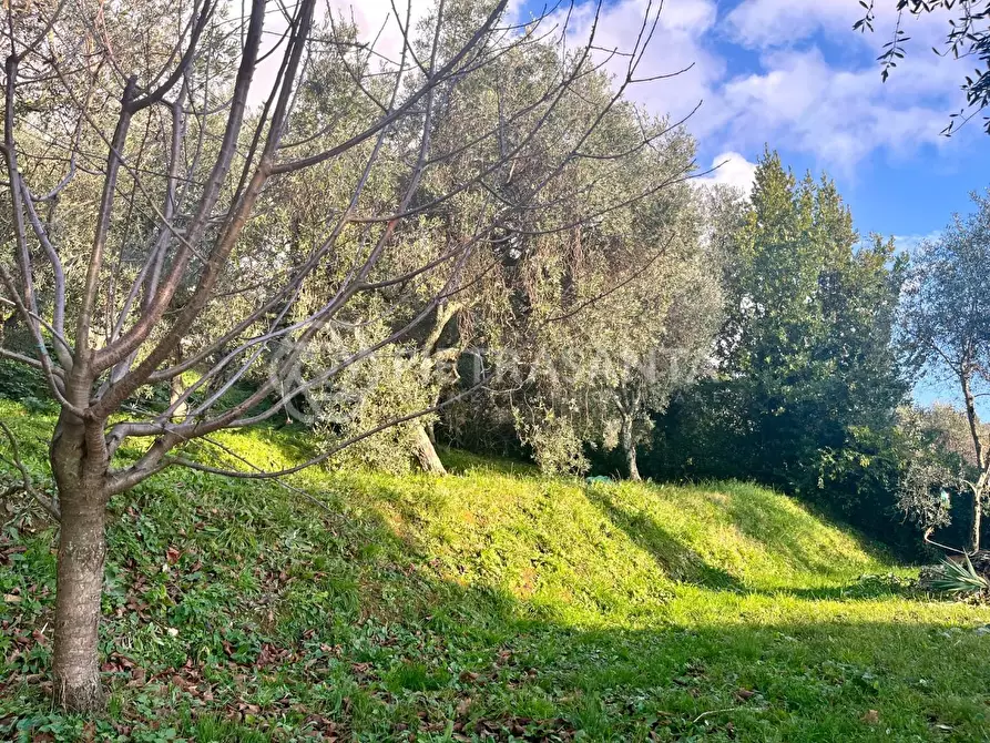 Immagine 4 di Rustico / casale in vendita  a Pietrasanta
