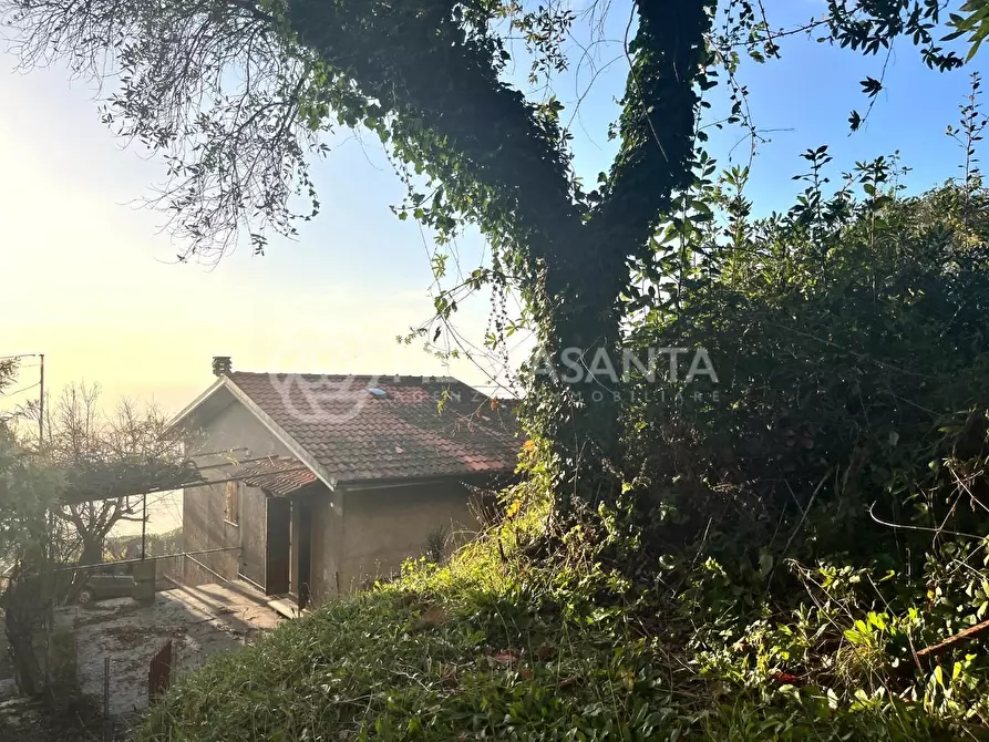 Immagine 3 di Rustico / casale in vendita  a Pietrasanta