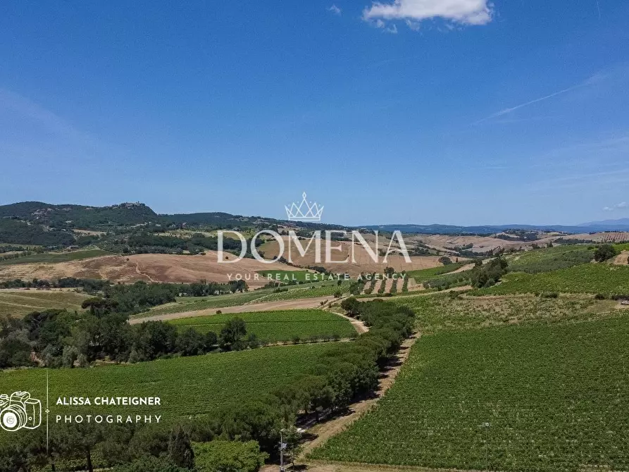 Immagine 8 di Casa colonica in vendita  a Montepulciano