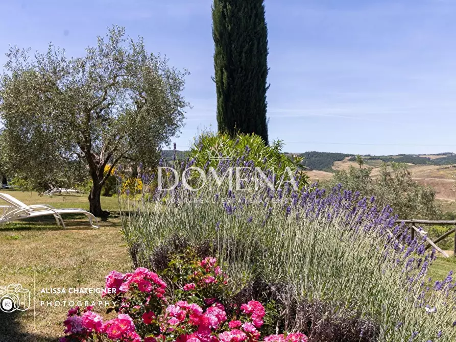 Immagine 12 di Casa colonica in vendita  a Montepulciano