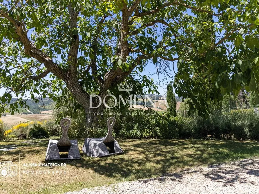 Immagine 37 di Casa colonica in vendita  a Montepulciano