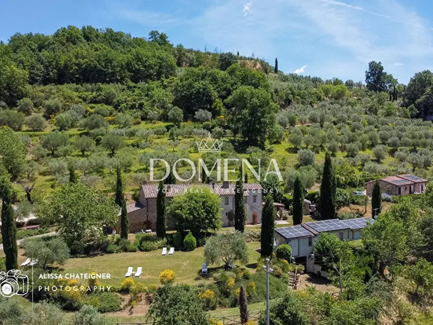 Immagine 4 di Casa colonica in vendita  a Montepulciano