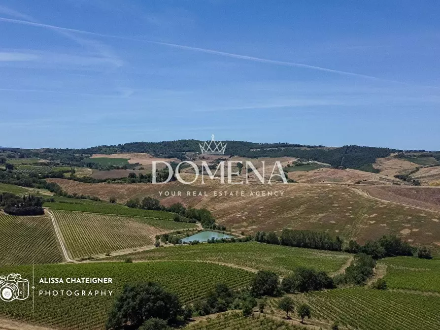 Immagine 7 di Casa colonica in vendita  a Montepulciano