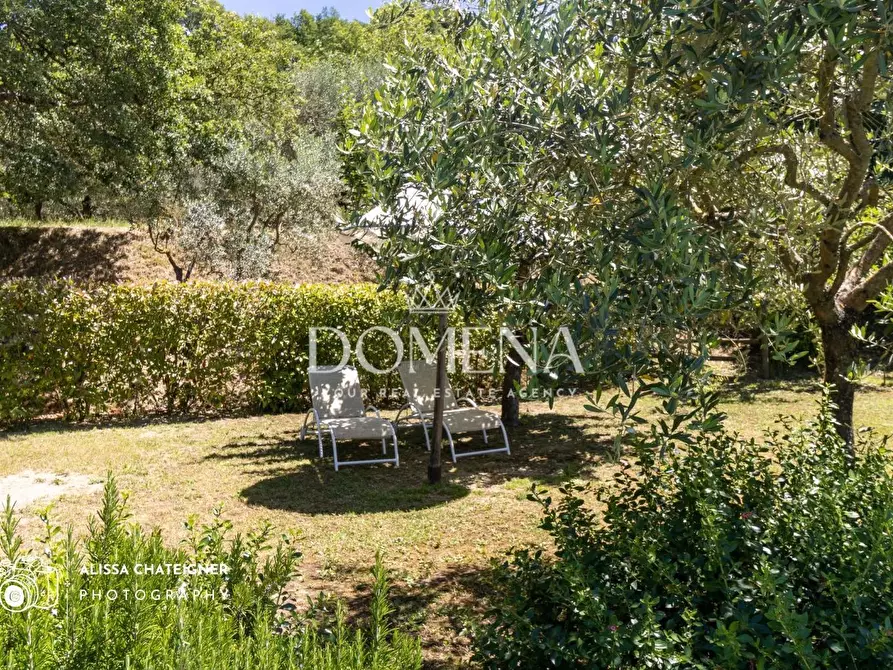 Immagine 10 di Casa colonica in vendita  a Montepulciano