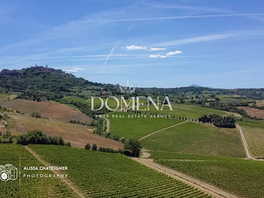 Immagine 6 di Casa colonica in vendita  a Montepulciano