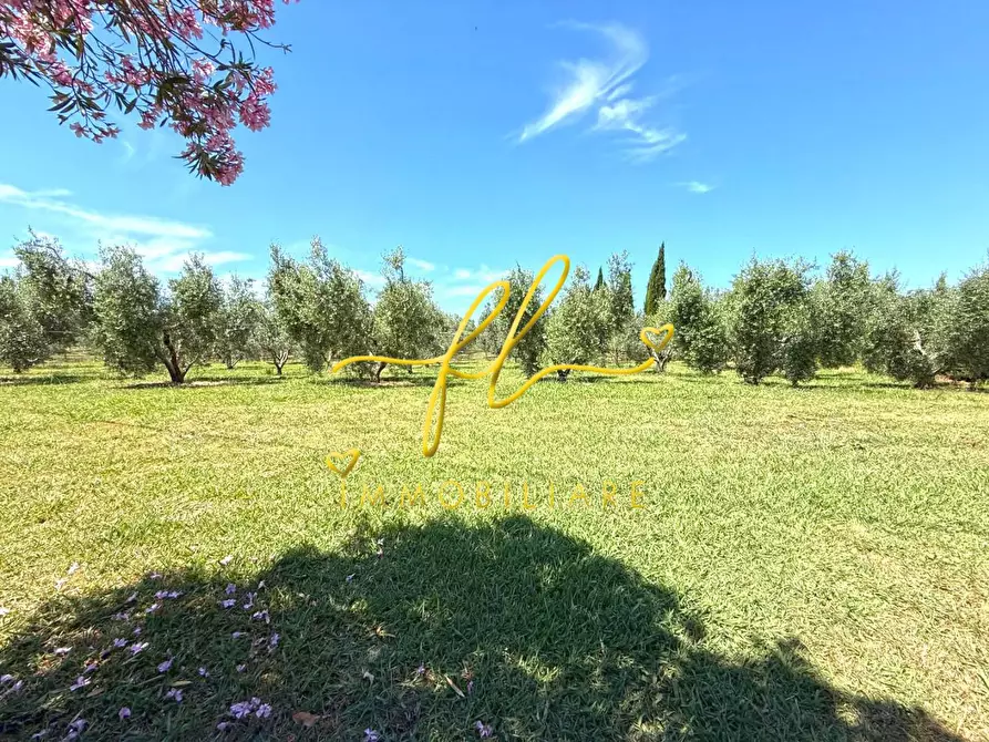 Immagine 52 di Casa colonica in vendita  a Rosignano Marittimo