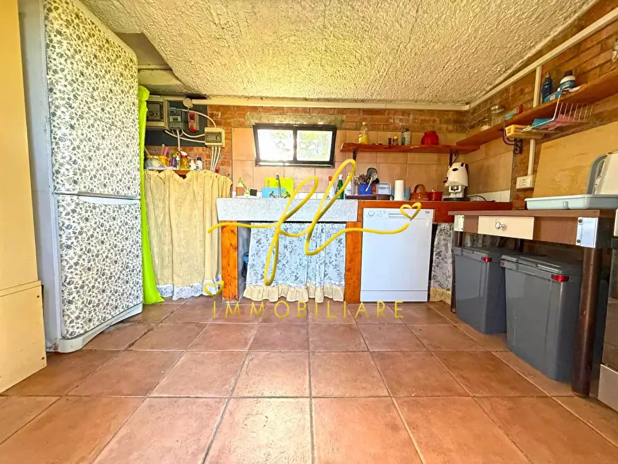 Immagine 37 di Casa colonica in vendita  a Rosignano Marittimo