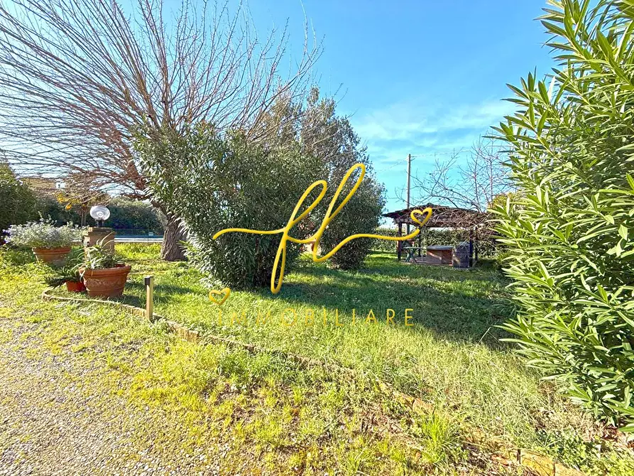 Immagine 51 di Casa colonica in vendita  a Rosignano Marittimo