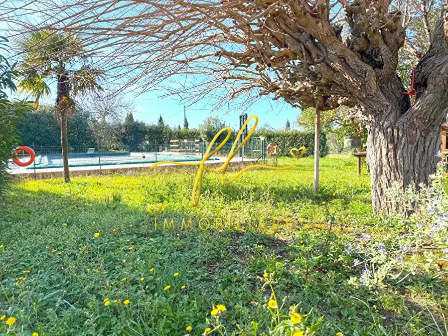 Immagine 42 di Casa colonica in vendita  a Rosignano Marittimo