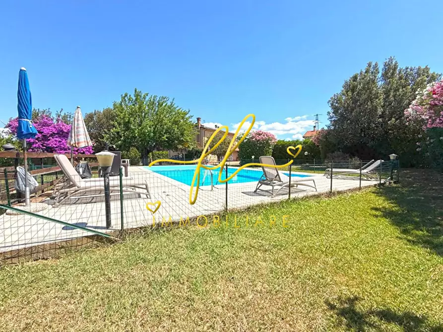 Immagine 4 di Casa colonica in vendita  a Rosignano Marittimo