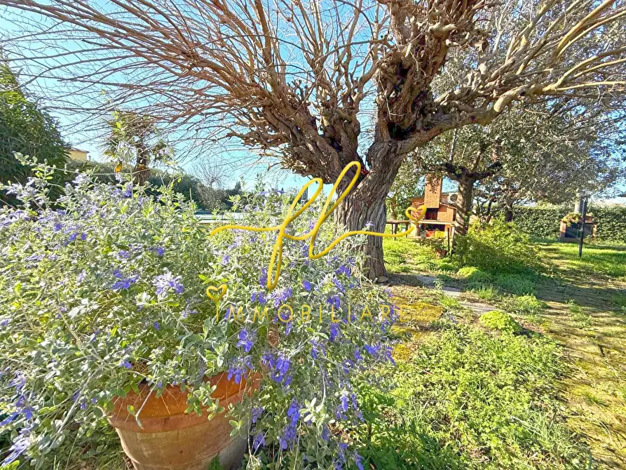 Immagine 49 di Casa colonica in vendita  a Rosignano Marittimo