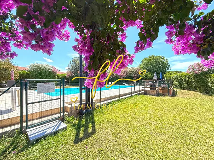 Immagine 54 di Casa colonica in vendita  a Rosignano Marittimo