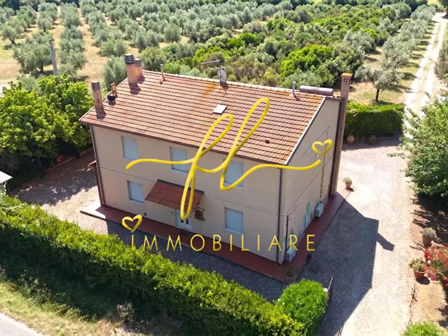 Immagine 59 di Casa colonica in vendita  a Rosignano Marittimo