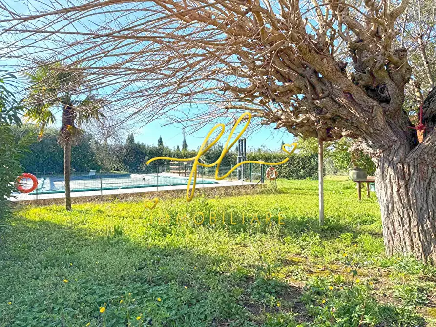 Immagine 43 di Casa colonica in vendita  a Rosignano Marittimo