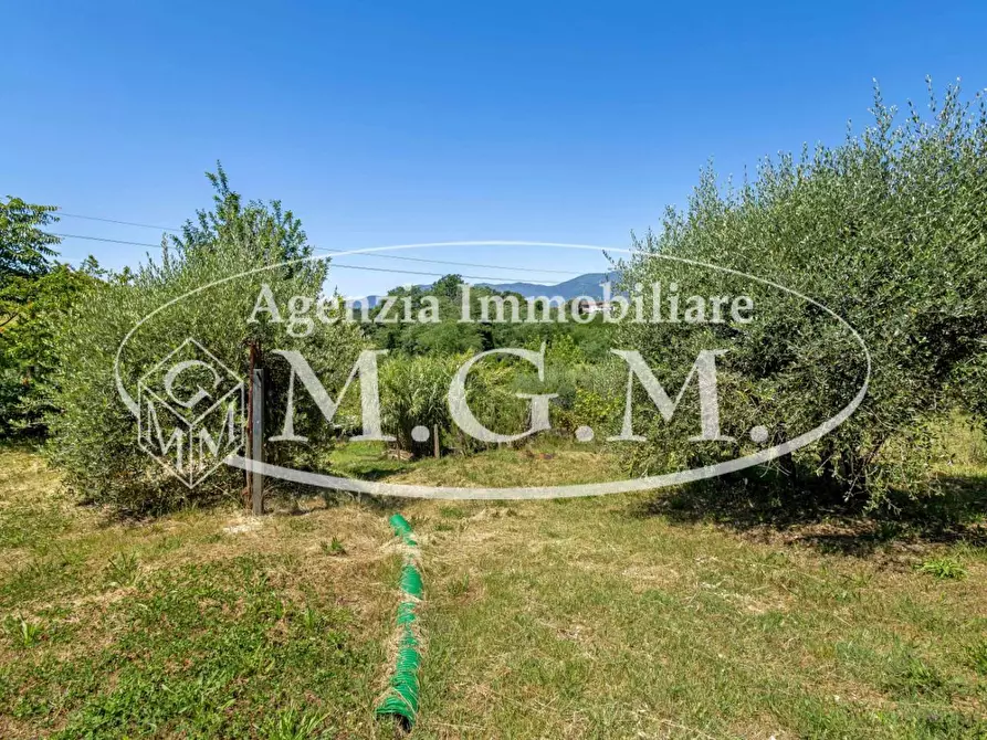 Immagine 29 di Casa indipendente in vendita  a Santa Maria A Monte