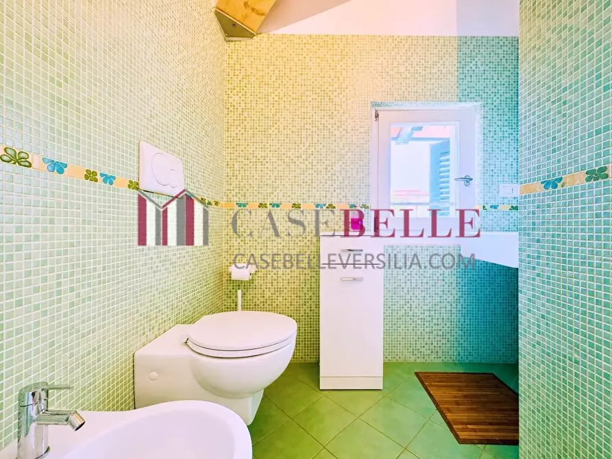 Immagine 23 di Casa trifamiliare in vendita  a Pietrasanta