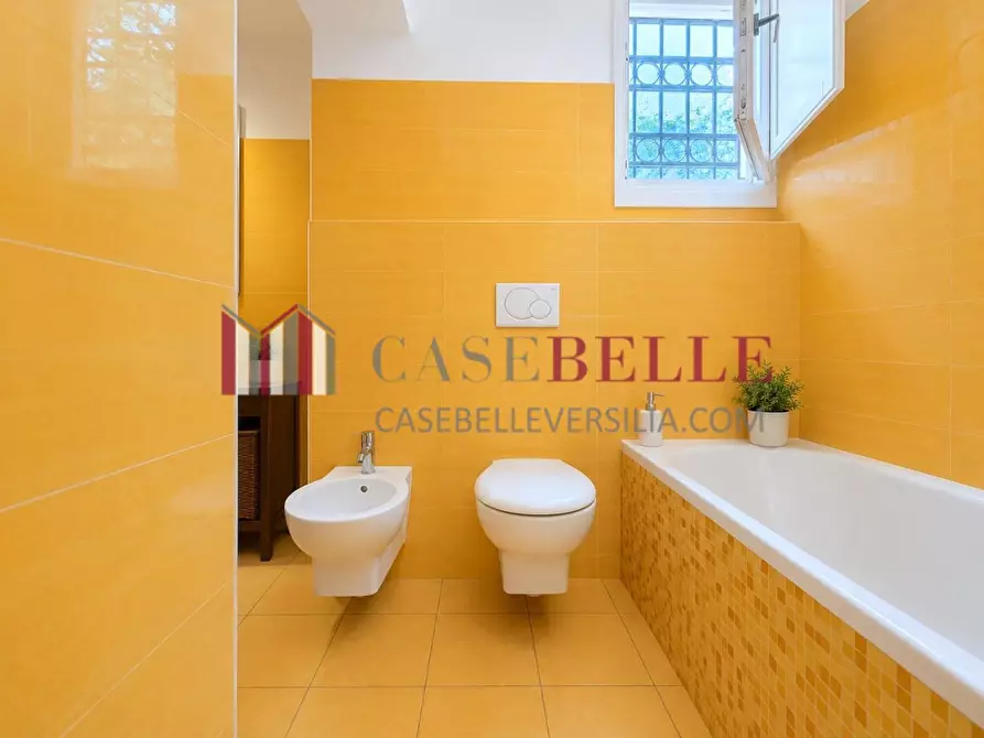 Immagine 34 di Casa trifamiliare in vendita  a Pietrasanta