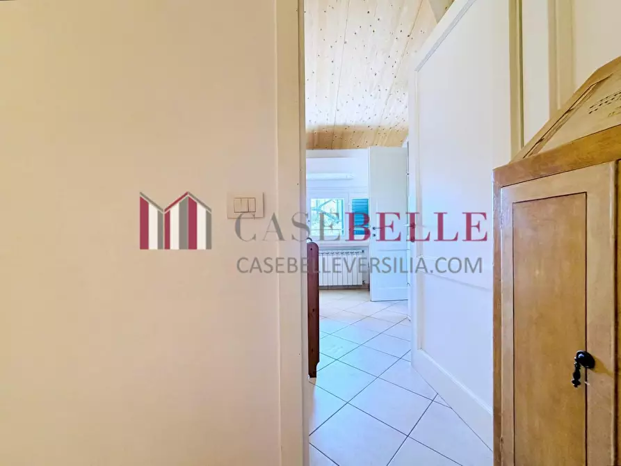 Immagine 21 di Casa trifamiliare in vendita  a Pietrasanta
