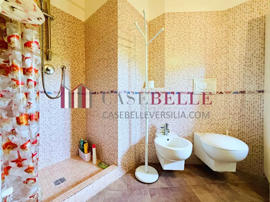 Immagine 18 di Casa trifamiliare in vendita  a Pietrasanta
