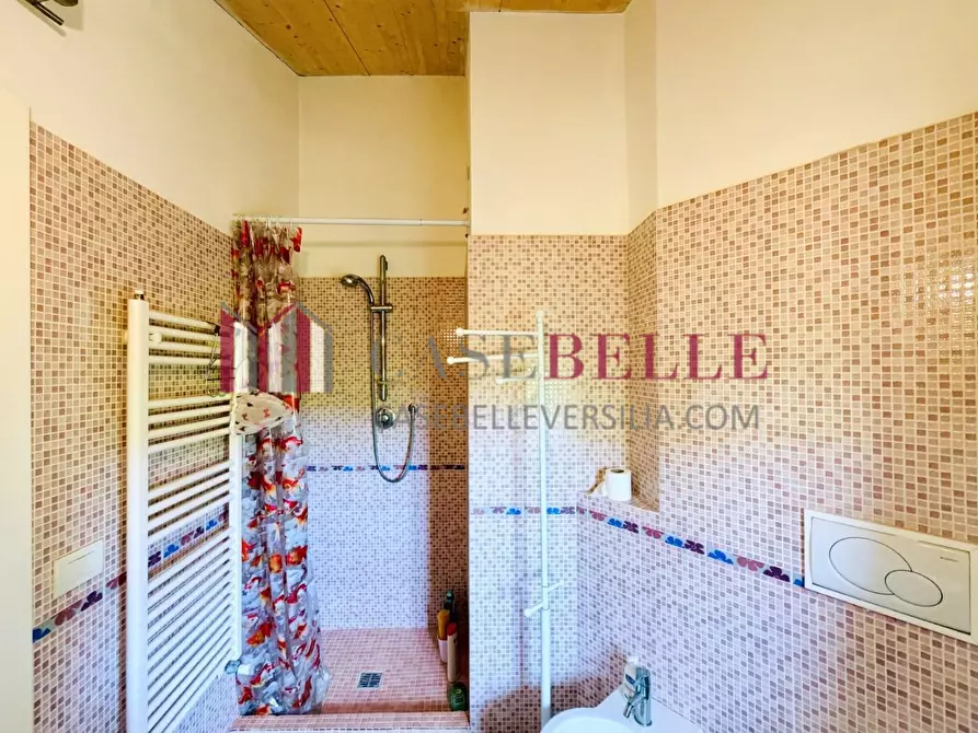 Immagine 19 di Casa trifamiliare in vendita  a Pietrasanta