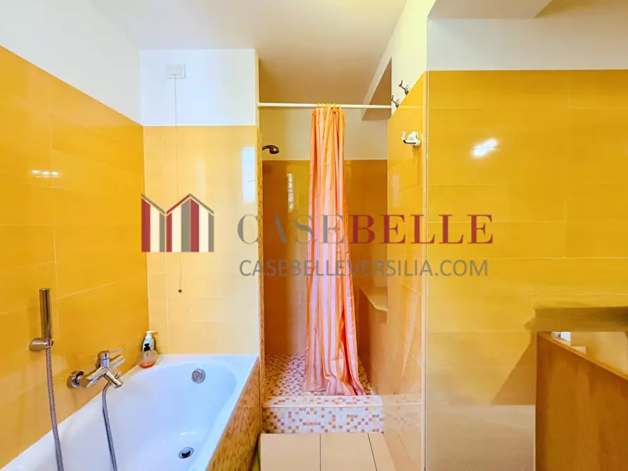 Immagine 33 di Casa trifamiliare in vendita  a Pietrasanta