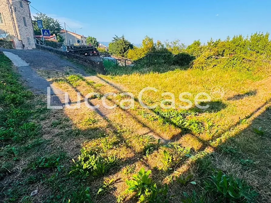 Immagine 35 di Casa indipendente in vendita  a Capannori