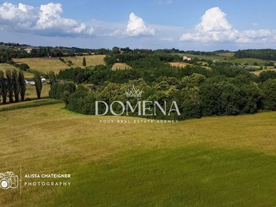 Immagine 6 di Rustico / casale in vendita  a Sovicille