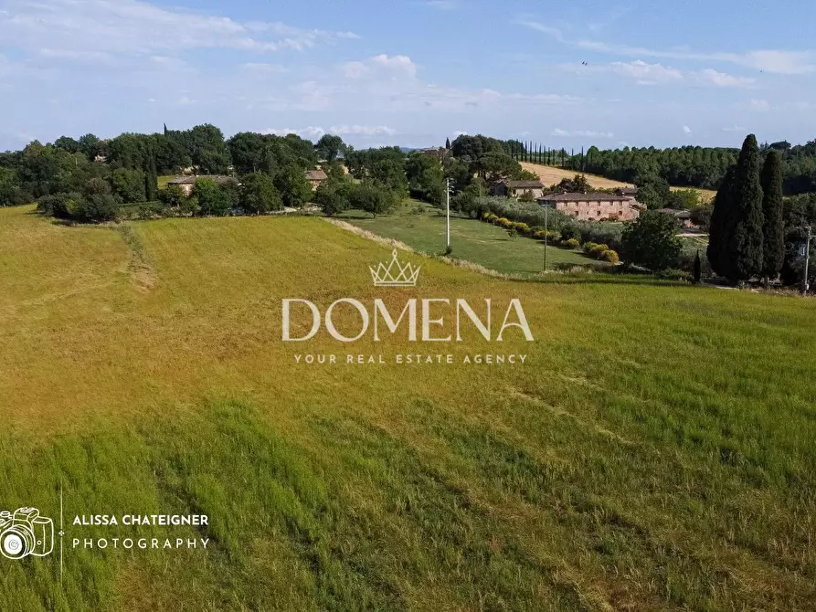 Immagine 5 di Rustico / casale in vendita  a Sovicille