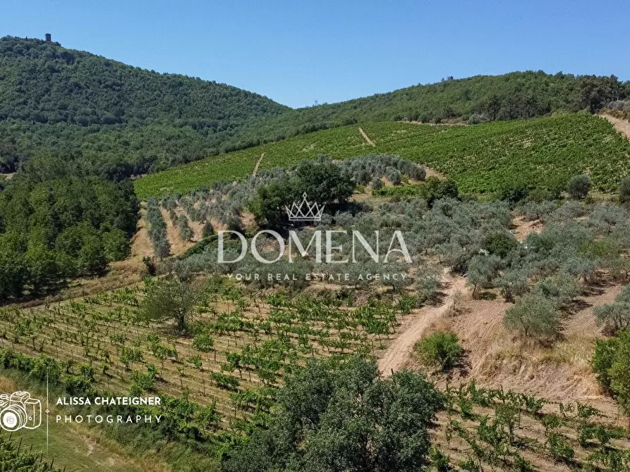 Immagine 4 di Villa in vendita  a Bucine