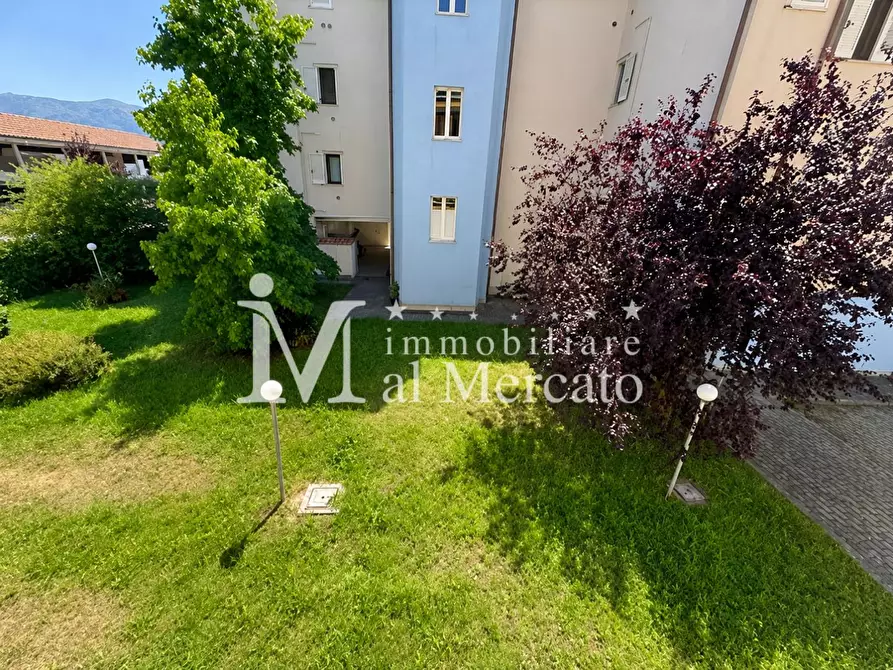 Immagine 9 di Appartamento in vendita  a Lucca